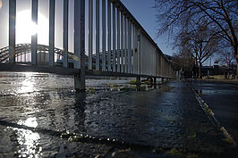Bernhard Saalfeld - Rheinpromenade 1
